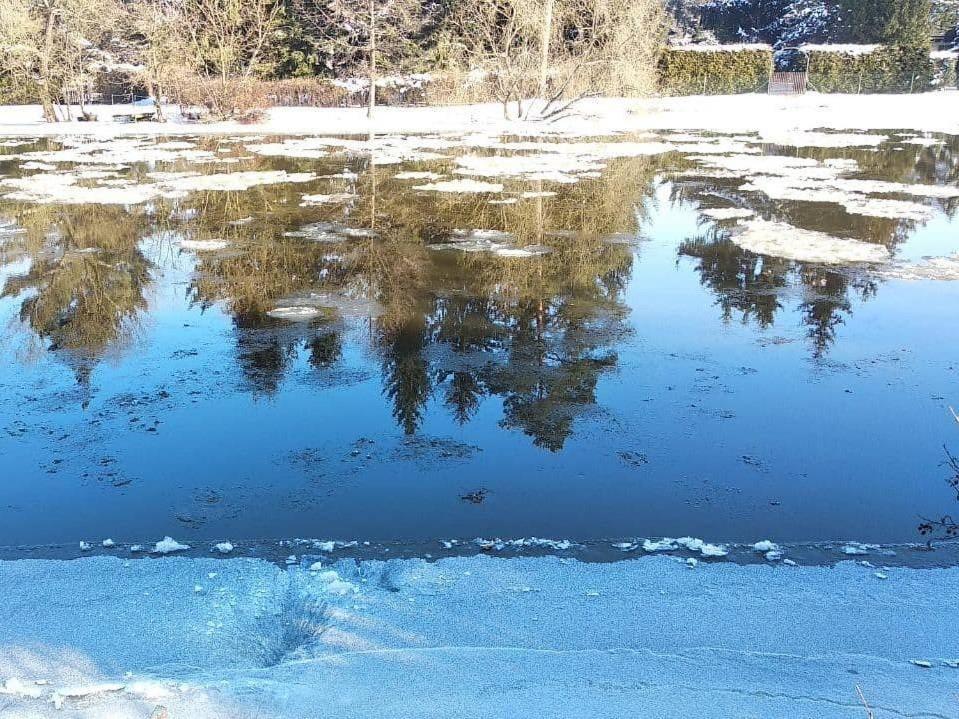 Chata Eva Villa Plana nad Luznici Luaran gambar